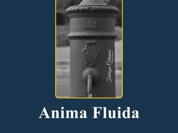 Anima Fluida - I Nasoni di Colli Aniene. Progetto Fotografico. Un racconto di immagini a cura di Fabrizio Colarossi con lo scopo di riscoprire elementi della nostra vita quotidiana che quotidianamente guardiamo senza vederli. Un modo per riprendere contatto con il quartiere di Colli Aniene e costruire una storia intima fatta di immagini in bianco e nero