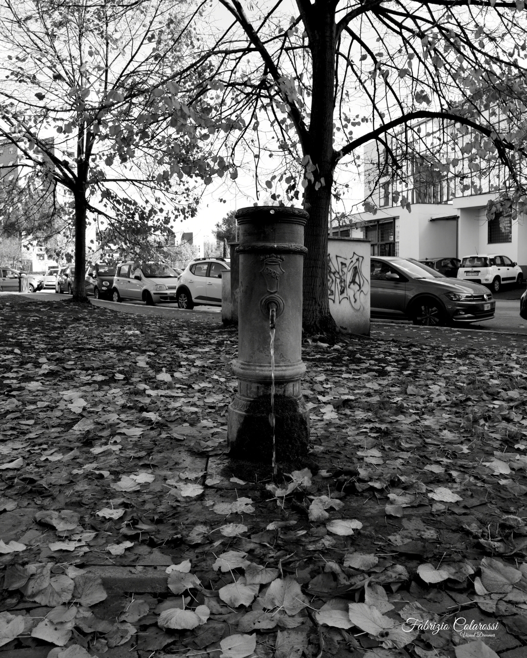 Anima Fluida - I Nasoni di Colli Aniene. Progetto Fotografico. Un racconto di immagini a cura di Fabrizio Colarossi con lo scopo di riscoprire elementi della nostra vita quotidiana che quotidianamente guardiamo senza vederli. Un modo per riprendere contatto con il quartiere di Colli Aniene e costruire una storia intima fatta di immagini in bianco e nero