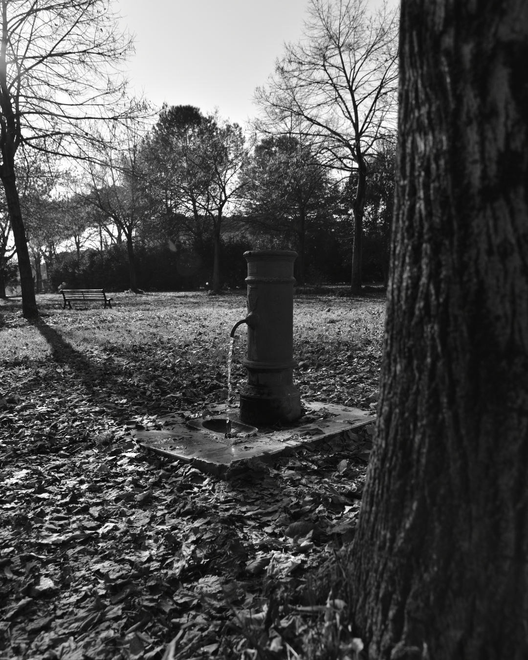 In mezzo al parco, lontano dal rumore. Una presenza che aspetta, anche quando nessuno arriva. Anima Fluida - I Nasoni di Colli Aniene. Progetto Fotografico. Un racconto di immagini a cura di Fabrizio Colarossi con lo scopo di riscoprire elementi della nostra vita quotidiana che quotidianamente guardiamo senza vederli. Un modo per riprendere contatto con il quartiere di Colli Aniene e costruire una storia intima fatta di immagini in bianco e nero