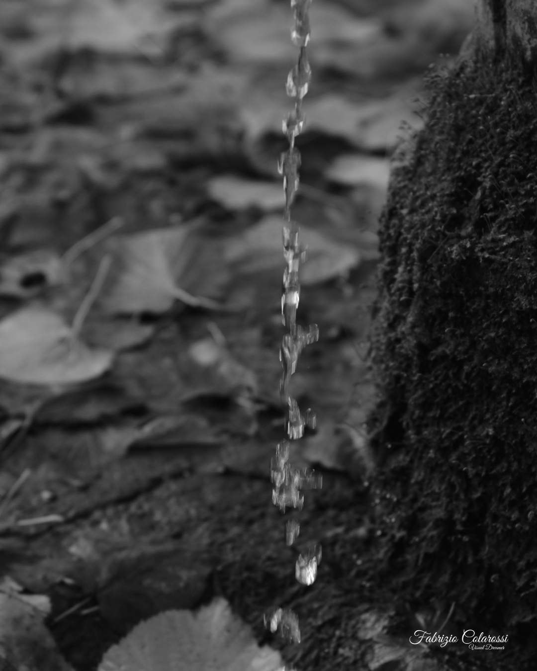 Anima Fluida - I Nasoni di Colli Aniene. Progetto Fotografico. Un racconto di immagini a cura di Fabrizio Colarossi con lo scopo di riscoprire elementi della nostra vita quotidiana che quotidianamente guardiamo senza vederli. Un modo per riprendere contatto con il quartiere di Colli Aniene e costruire una storia intima fatta di immagini in bianco e nero