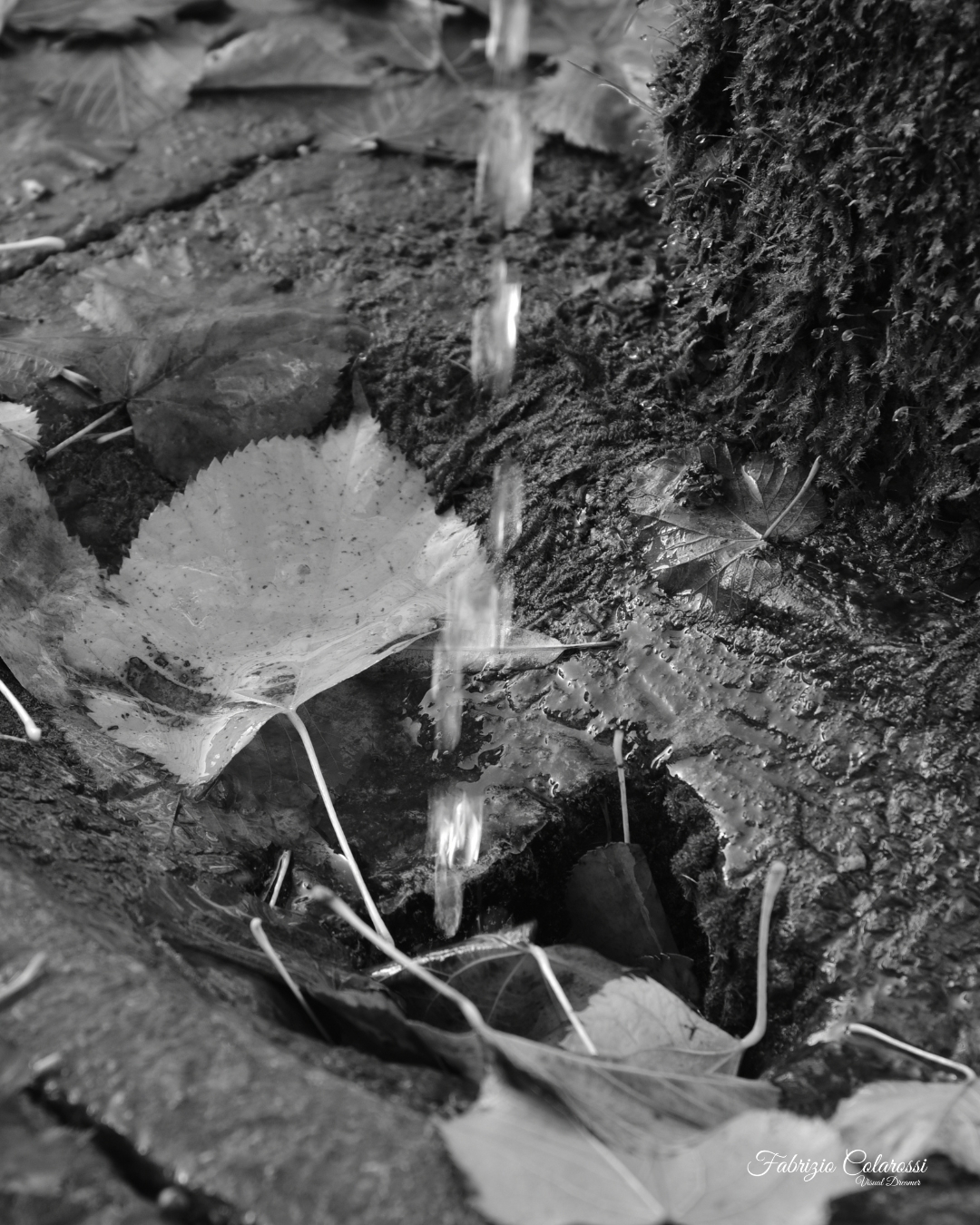 Anima Fluida - I Nasoni di Colli Aniene. Progetto Fotografico. Un racconto di immagini a cura di Fabrizio Colarossi con lo scopo di riscoprire elementi della nostra vita quotidiana che quotidianamente guardiamo senza vederli. Un modo per riprendere contatto con il quartiere di Colli Aniene e costruire una storia intima fatta di immagini in bianco e nero