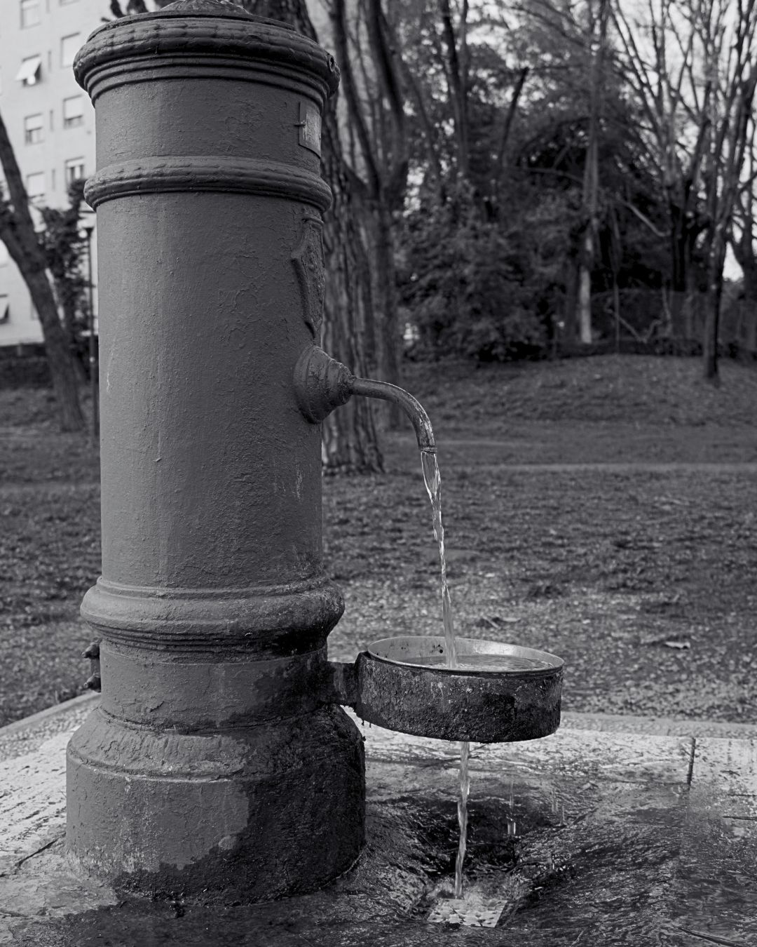Progetto Fotografico Anima Fluida - I Nasoni di Colli Aniene. Un racconto fotografico a cura di Fabrizio Colarossi con lo scopo di riscoprire elementi della nostra vita quotidiana che quotidianamente guardiamo senza vederli. Un modo per riprendere contatto con il quartiere di Colli Aniene e costruire una storia intima fatta di immagini in bianco e nero