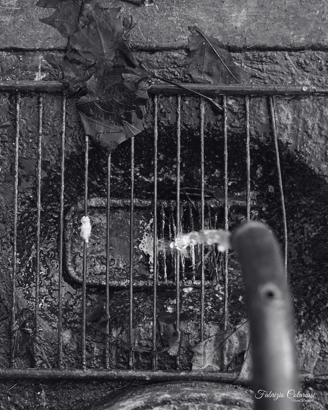 Quando l’insieme diventa comune. Dettagli minimi che raccontano una vita silenziosa, cresciuta intorno all’acqua che scorre.