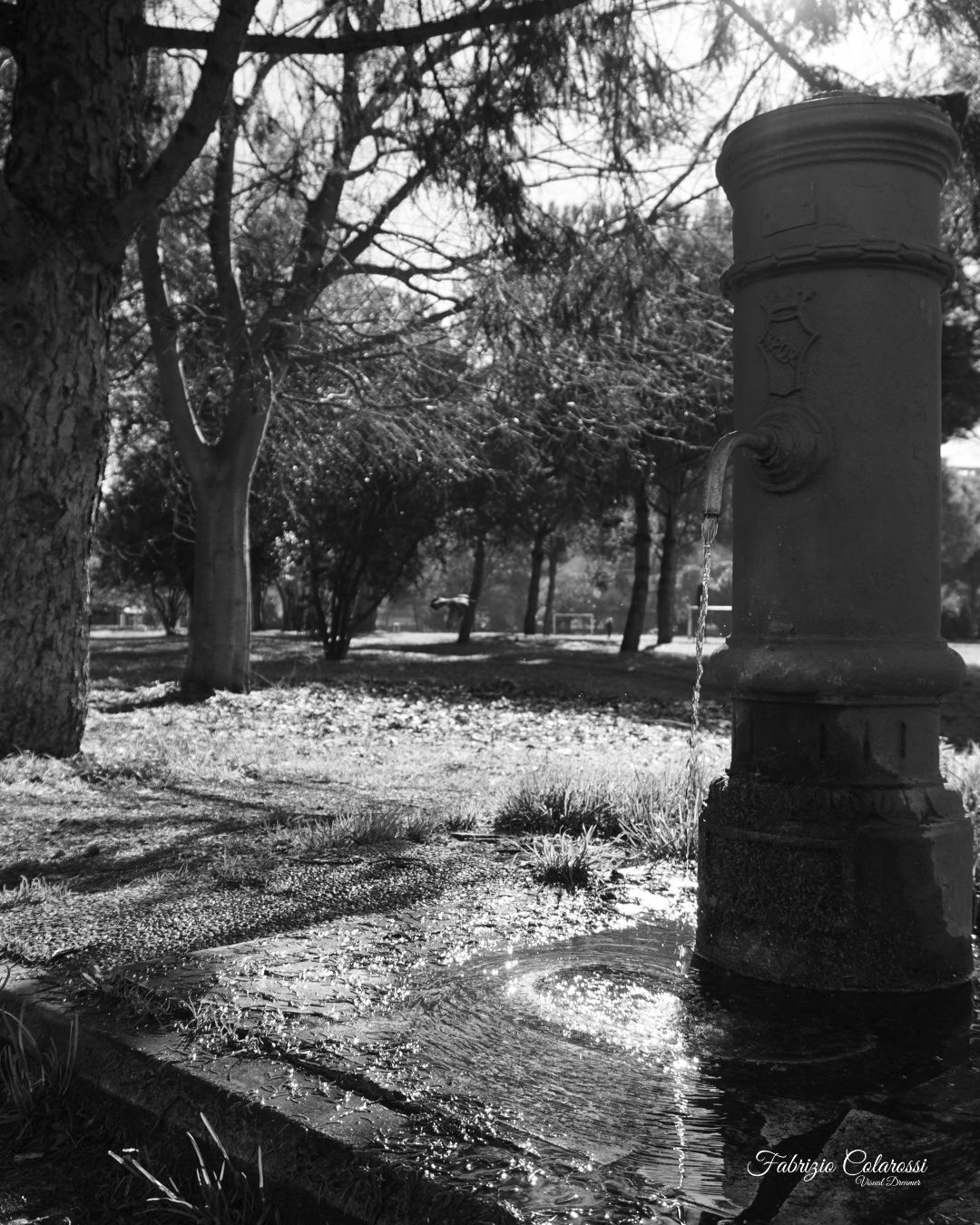 La fontanella di Via Zanardi solitaria e quasi dimenticata assolve alla causa come tutte le sue compagne più conosciute