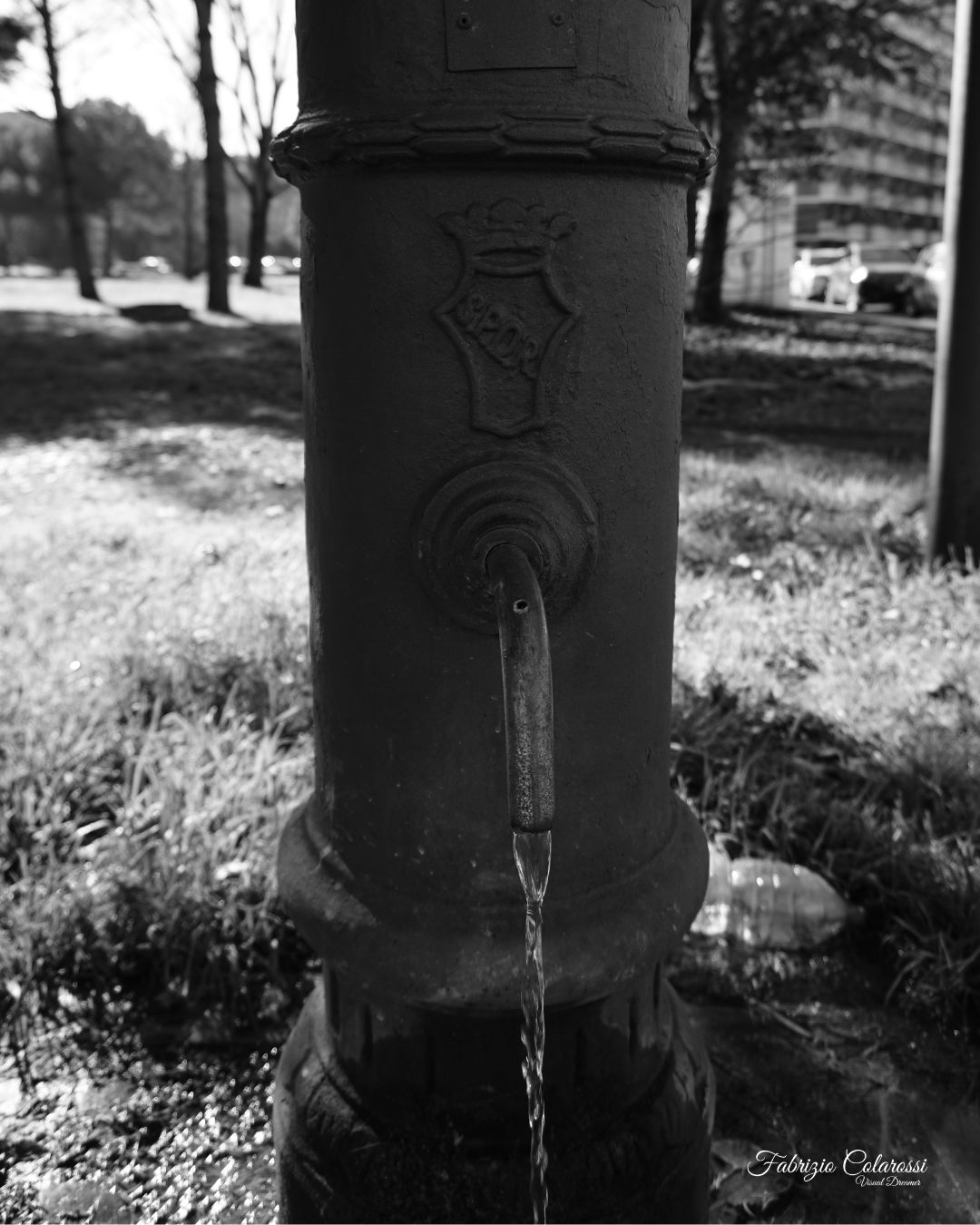 La fontanella di Via Zanardi solitaria e quasi dimenticata assolve alla causa come tutte le sue compagne più conosciute