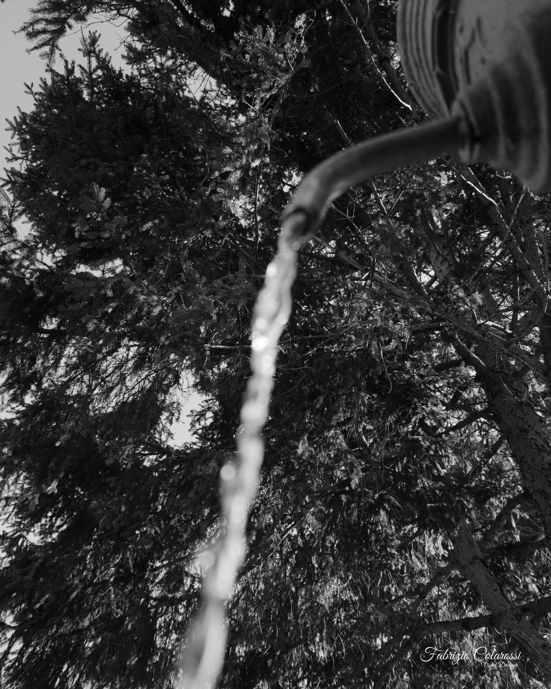 La fontanella di Via Zanardi solitaria e quasi dimenticata assolve alla causa come tutte le sue compagne più conosciute