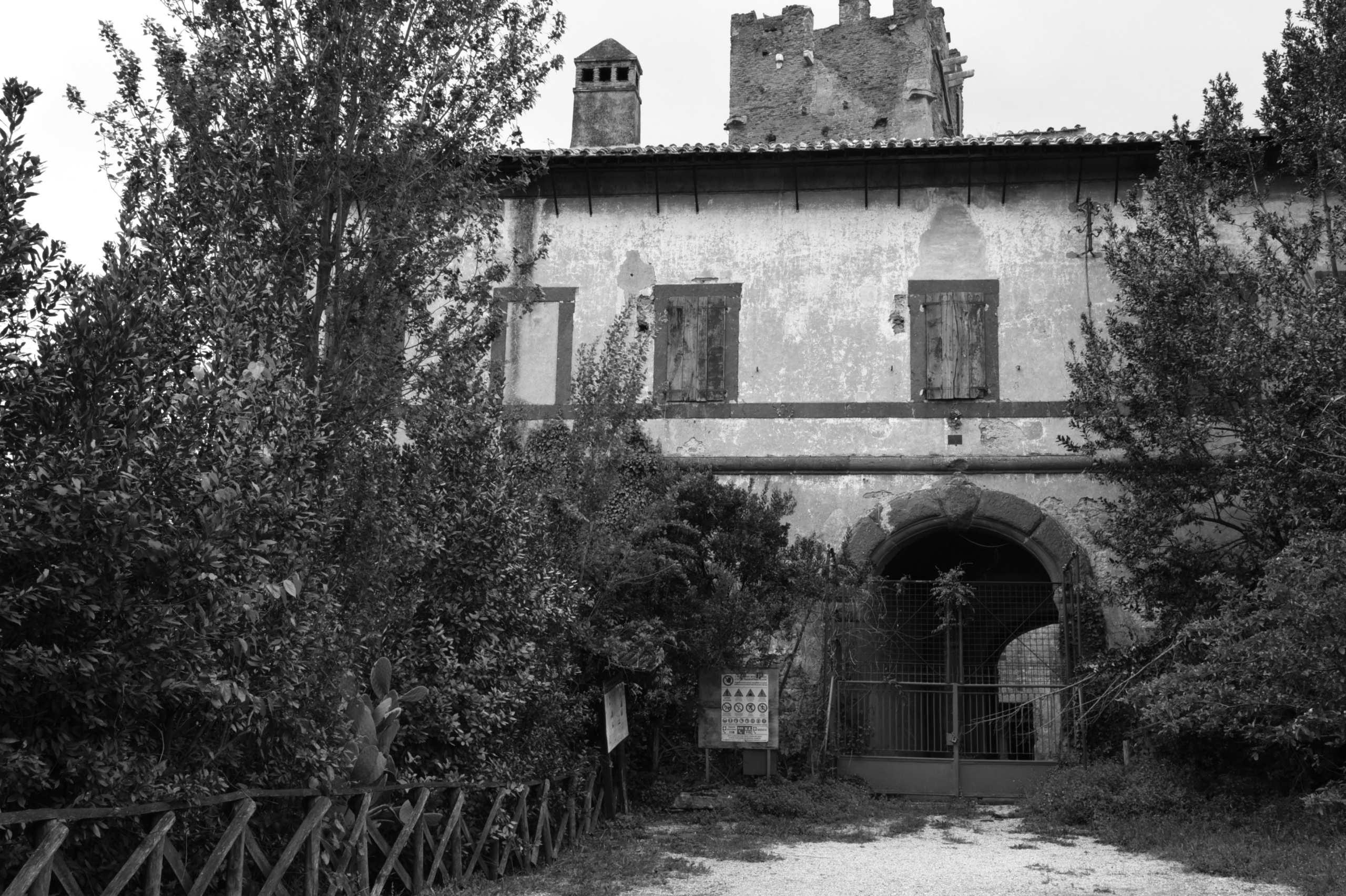 La riserva naturale delle cervelletta. Un parco naturalistico pieno zeppo di bio diversità. un patrimonio che tutta Roma ci invidia