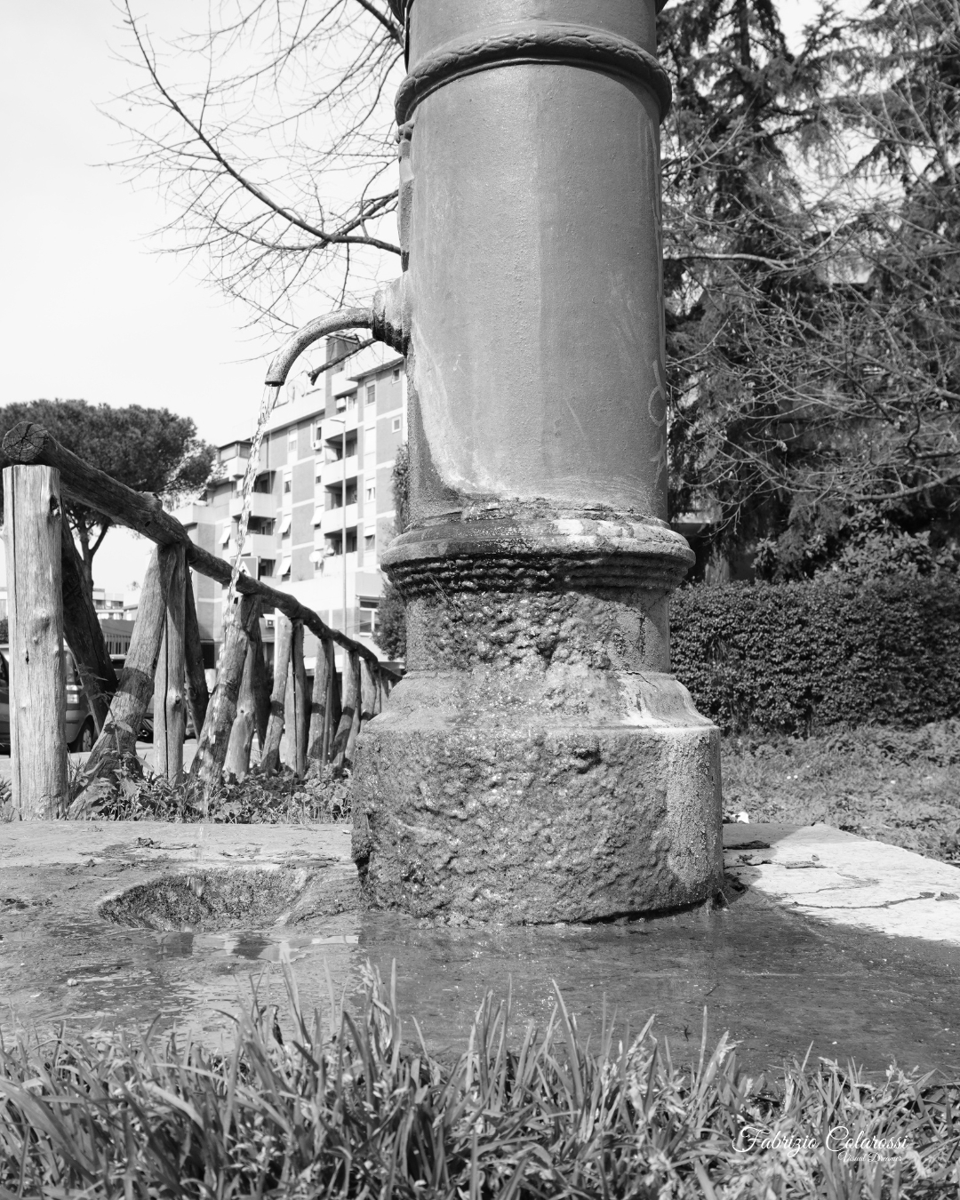 Nasone in un piccolo parco tra gli spazi verdi di Colli Aniene a Roma, simbolo del verde urbano e della vita del quartiere.
