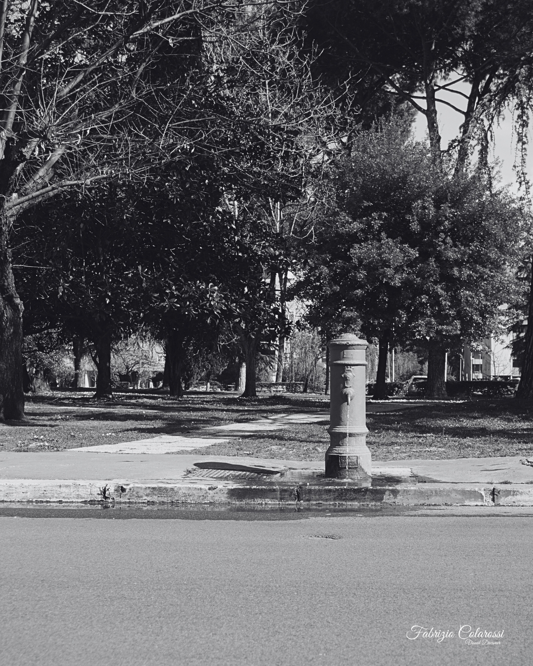 Colli Aniene è un quartiere immerso nel verde e dotato di ben 12 fontanelle di acqua pubblica. Oggi parliamo di quella che svetta sulla rotatoria di piazza loriedo che silenziosa e immobile osserva tutta la popolazione in movimento quotidiano