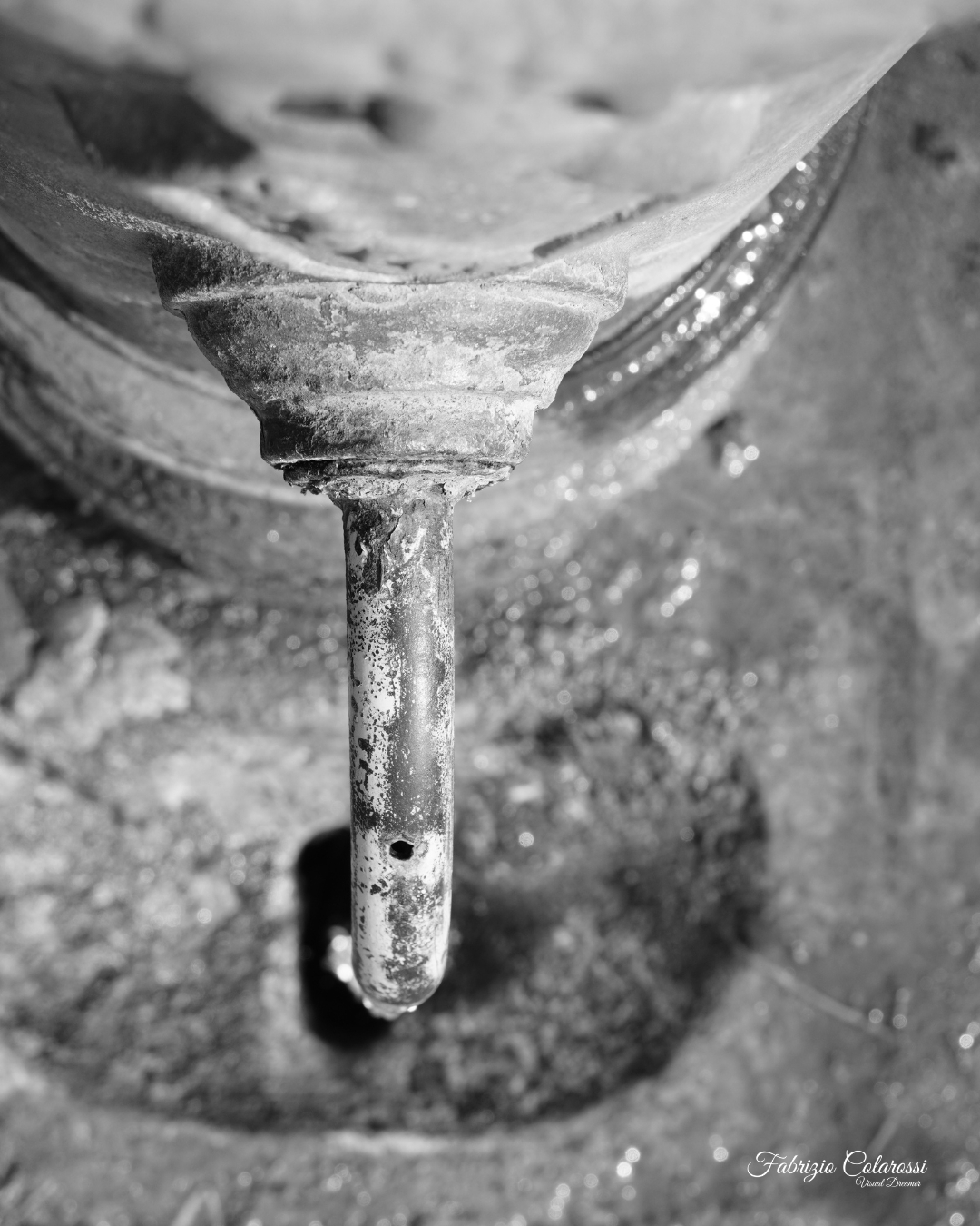 Nasone in un piccolo parco tra gli spazi verdi di Colli Aniene a Roma, simbolo del verde urbano e della vita del quartiere.