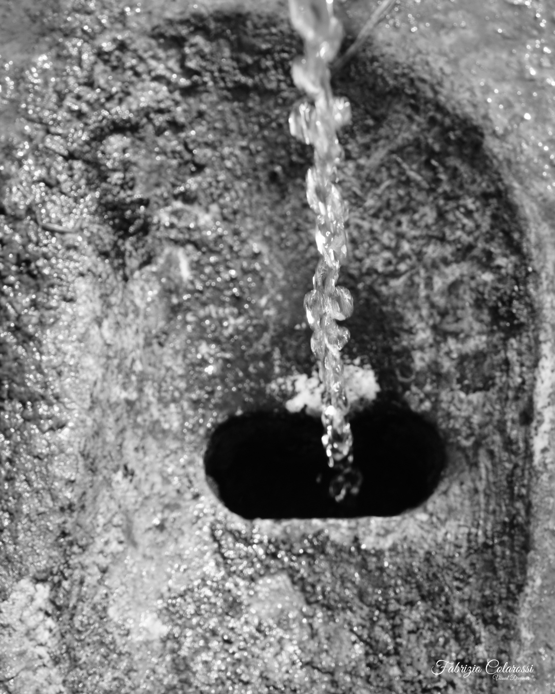 Nasone in un piccolo parco tra gli spazi verdi di Colli Aniene a Roma, simbolo del verde urbano e della vita del quartiere.