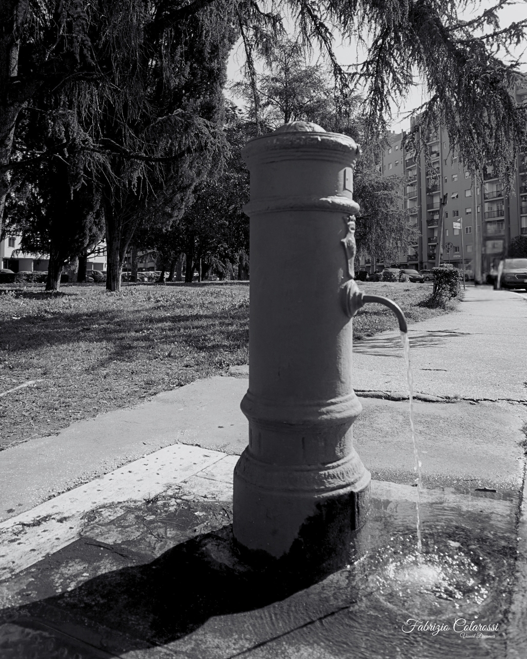 Colli Aniene è un quartiere immerso nel verde e dotato di ben 12 fontanelle di acqua pubblica. Oggi parliamo di quella che svetta sulla rotatoria di piazza loriedo che silenziosa e immobile osserva tutta la popolazione in movimento quotidiano