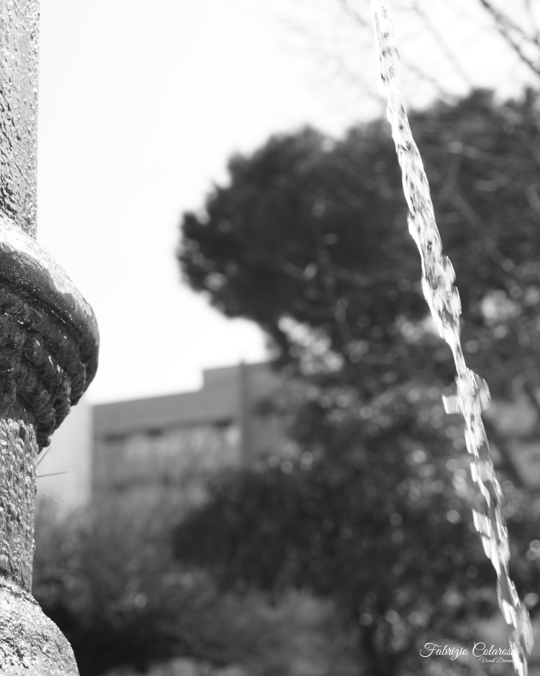 Nasone in un piccolo parco tra gli spazi verdi di Colli Aniene a Roma, simbolo del verde urbano e della vita del quartiere.