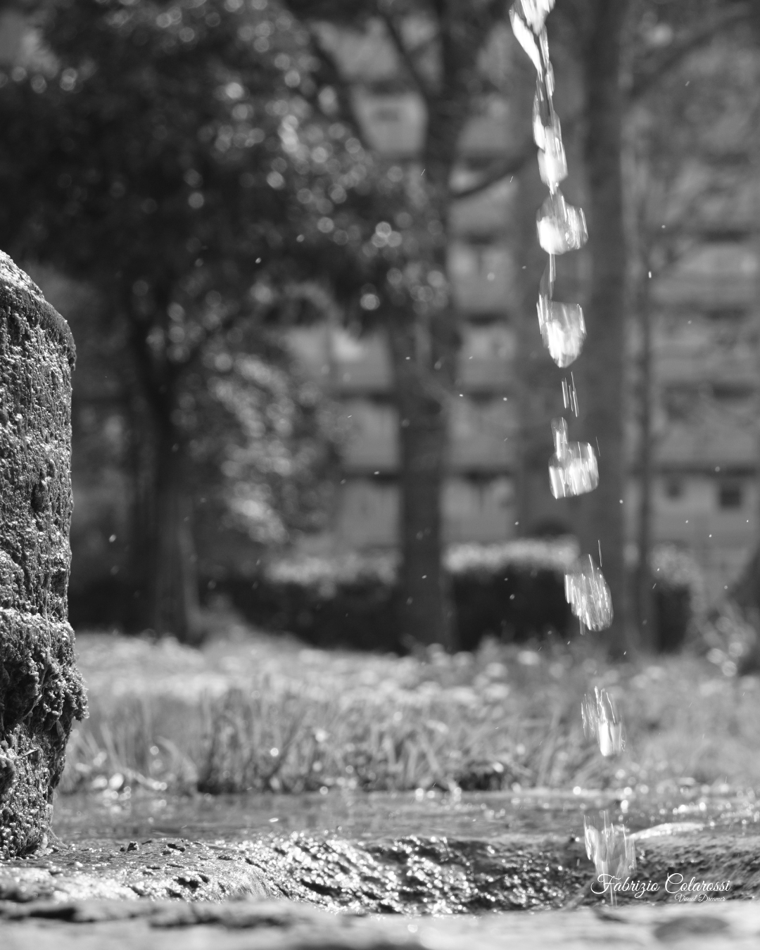 Nasone in un piccolo parco tra gli spazi verdi di Colli Aniene a Roma, simbolo del verde urbano e della vita del quartiere.