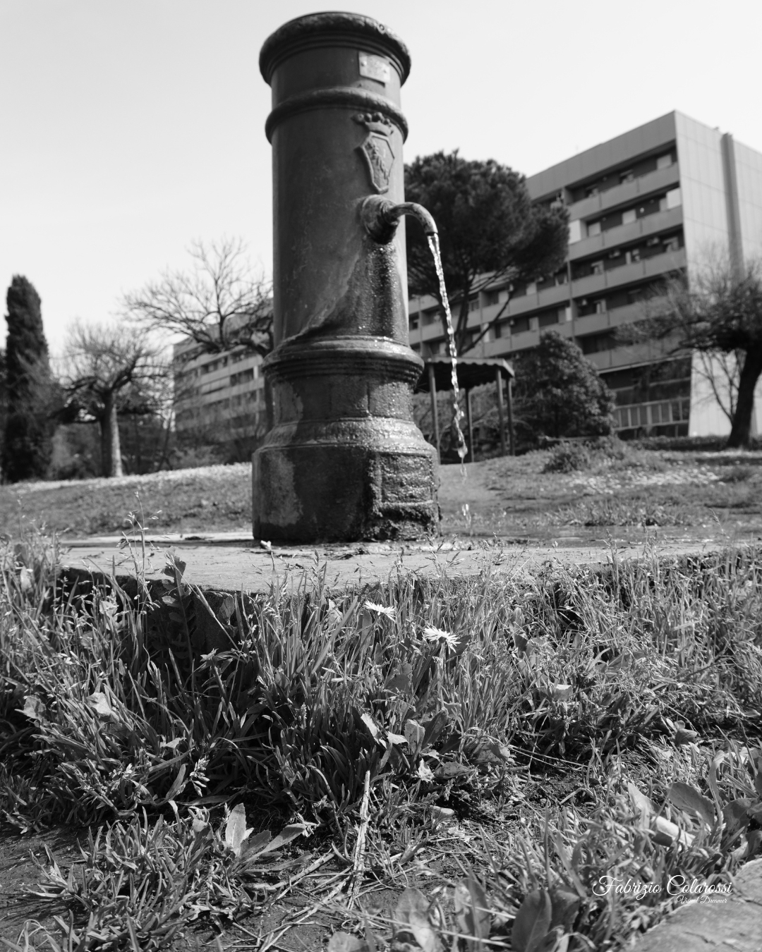 Nasone in un piccolo parco tra gli spazi verdi di Colli Aniene a Roma, simbolo del verde urbano e della vita del quartiere.