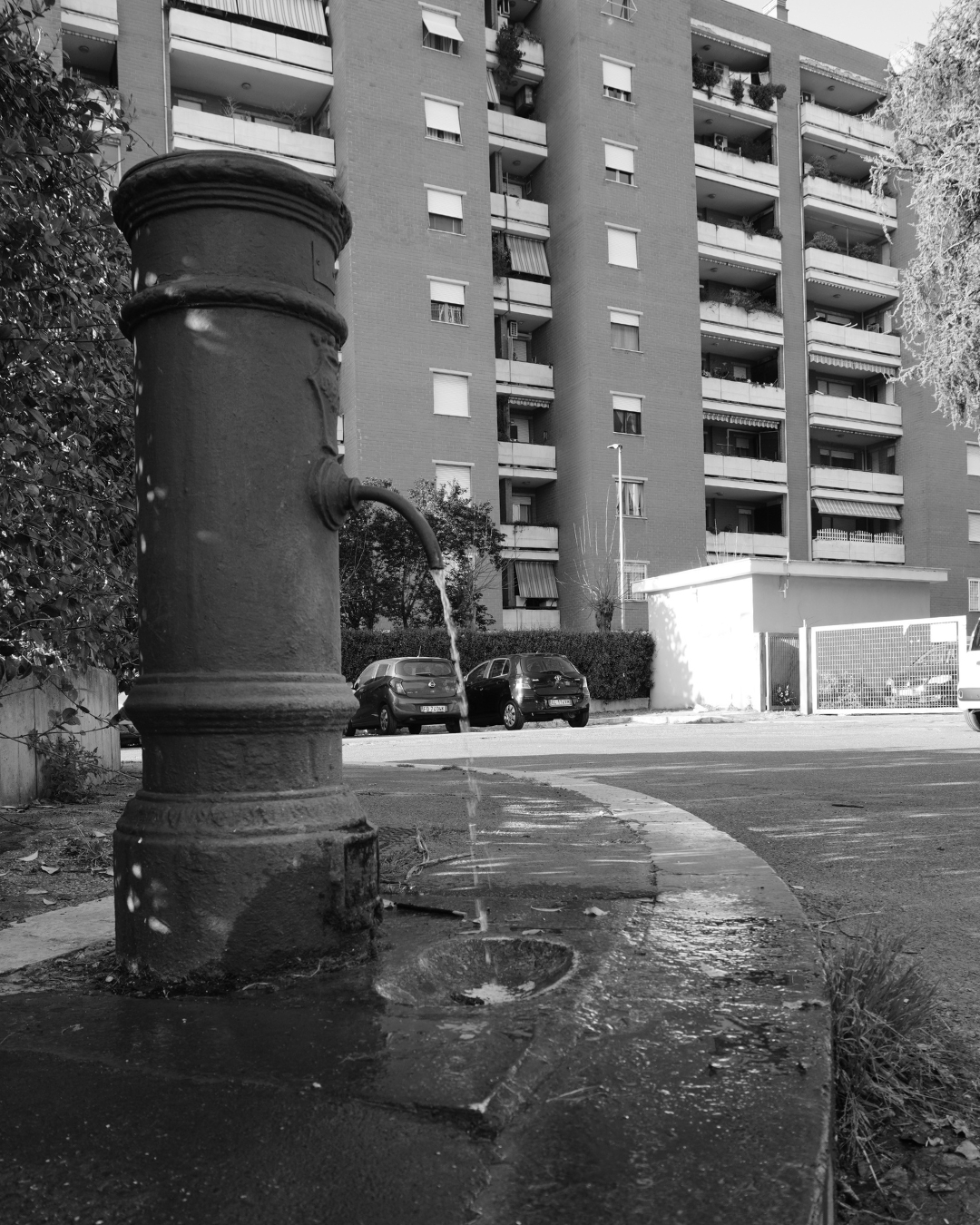 La fontanella sul confine: dove le differenze si incontrano C’è una fontanella, a Colli Aniene, che non si nota subito. Non è nel cuore del parco, non è incorniciata dal verde, non è “da fotografia”. Sta lì, su un margine. Un punto di passaggio più che di sosta. Un crocevia sottile, quasi invisibile, dove si incontrano due mondi: da una parte gli immobili del Comune di Roma, dall’altra quelli di proprietà privata. Due logiche diverse. Due modi di vivere lo spazio. Due idee, a volte distanti, di casa. Eppure, proprio lì, scorre acqua. Il nasone di via tamburrano